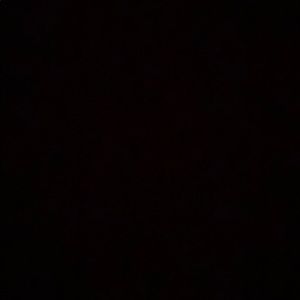 Meet your Posher, Nina